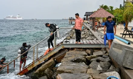 Search Ends in Tragedy as Bodies of Four Italian Divers Recovered in the Maldives